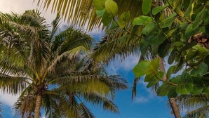 A beachfront property with a two-story building, palm trees, and a sandy beach. - Comfortable Villa with sea view  (San Pedro)