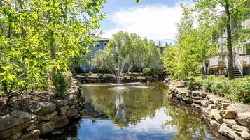 Terrain de l’hébergement