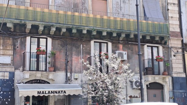 Un edificio con escaparate que dice "MALANNATA" y varios balcones con macetas.