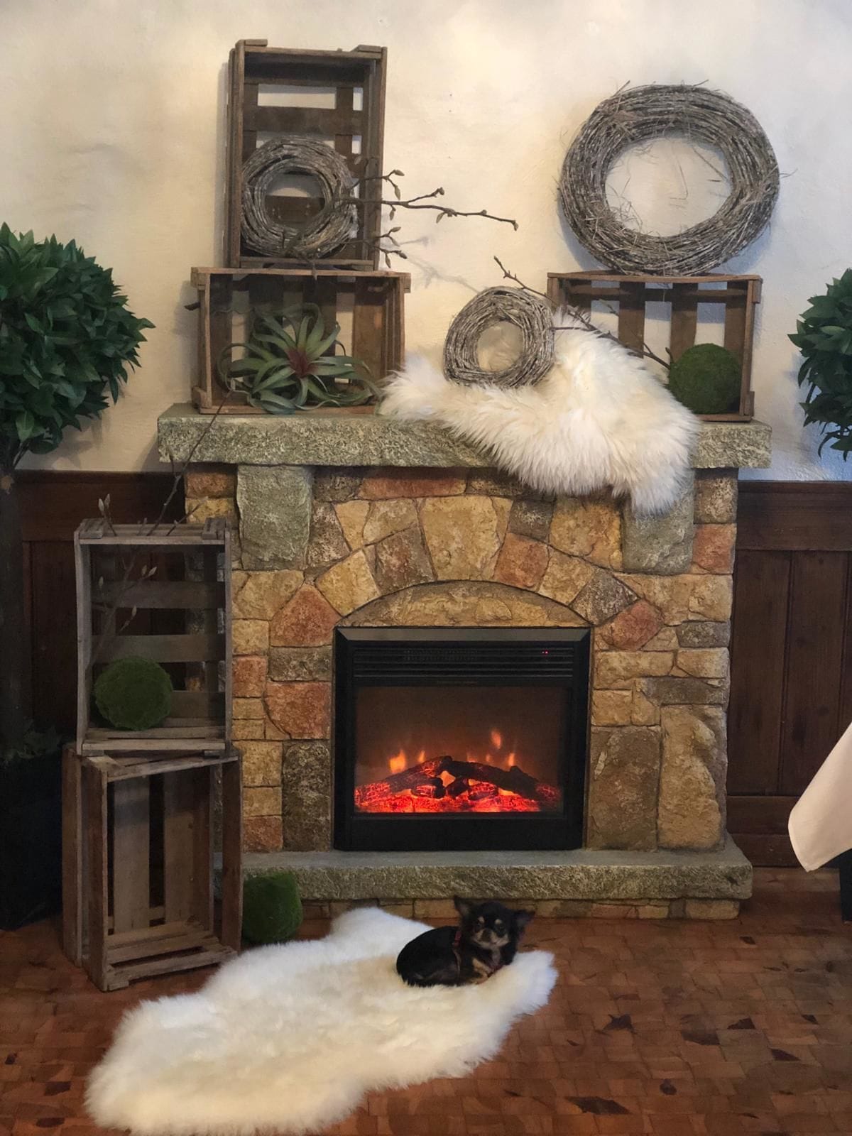 Une cheminée en pierre avec un feu, entourée d’une décoration rustique comprenant un tapis blanc et moelleux, des caisses en bois et des plantes vertes.