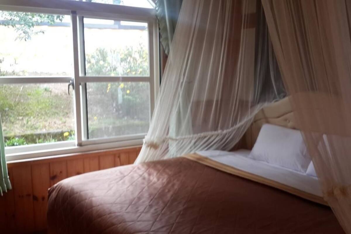 Ein Bett mit Baldachin in einem Zimmer mit Fenster.