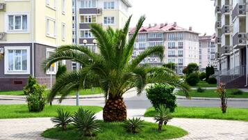 สนามรอบบริเวณ