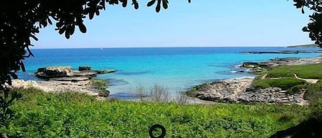 ビーチの近く、ビーチタオル