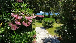 Um caminho no jardim, com flores cor-de-rosa e folhagem verde, que leva a um corpo d'água.