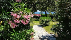 Parco della struttura