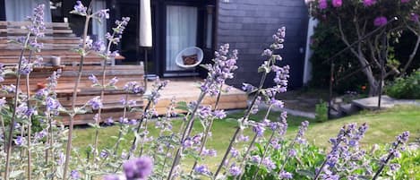 Terrain de lâhĂ©bergement