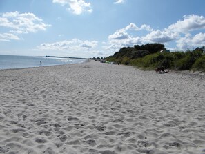 Playa en los alrededores y camastros