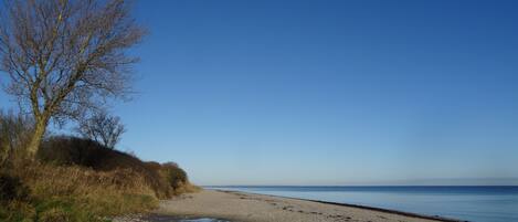 Beach nearby, sun-loungers
