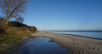 Vacaciones bajo techo de paja en el mar Báltico; WiFi gratis, Smart TV 3D, chimenea, ducha confortable,.