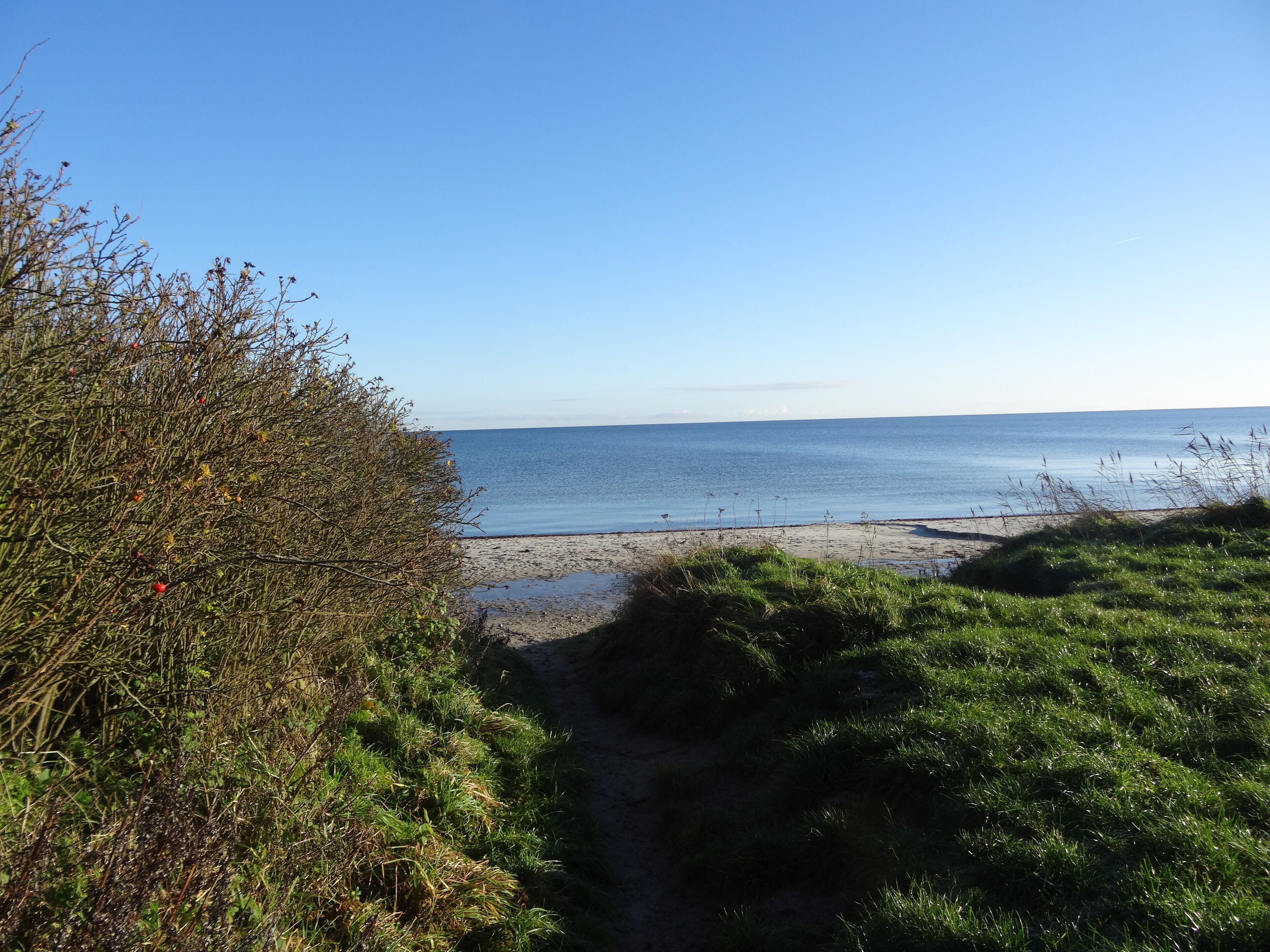 Un sentier côtier menant à une plage, avec un ciel dégagé.