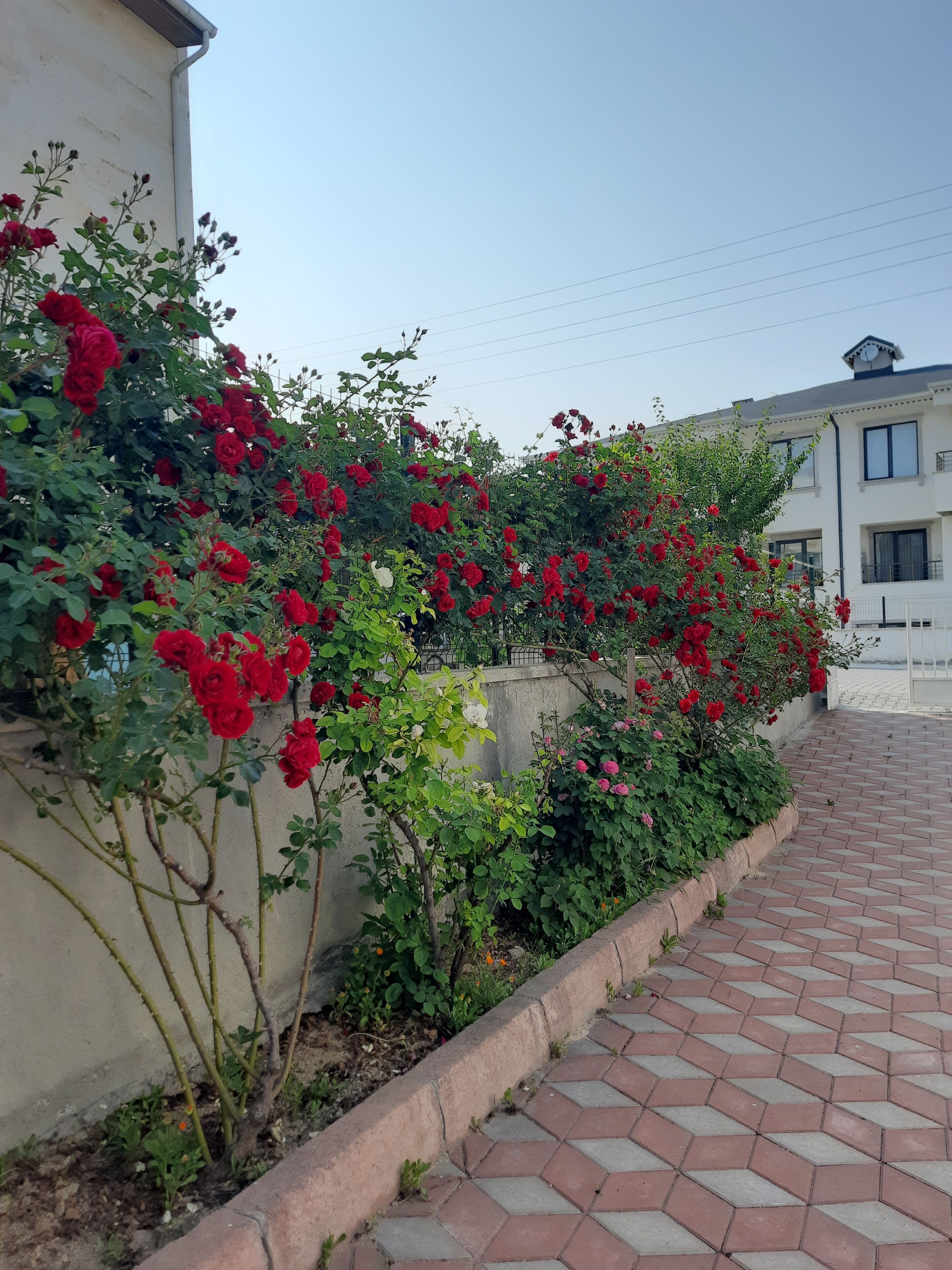 شرفة/رواق