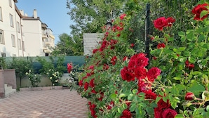 Ein gepflasterter Innenhof mit roten Rosen und einer Ziegelmauer.