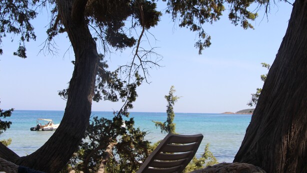 Une vue sur la plage avec un bateau, une chaise en bois et un grand arbre.