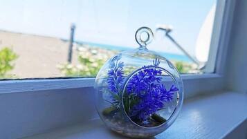 House, 3 Bedrooms, Sea View | 3 bedrooms, desk, blackout drapes, iron/ironing board