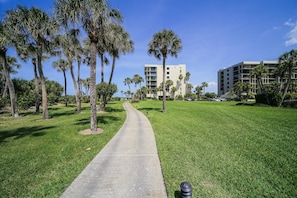 A pathway leading to a building with multiple floors, surrounded by palm trees and a well-maintained lawn.