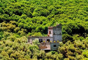 Un bâtiment en pierre à plusieurs étages, entouré d’une forêt verdoyante et dense.