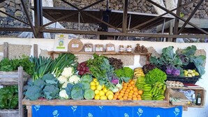 A produce stand with various vegetables and grains, a blue tablecloth, and a stone wall background. - Experience Organic Farm Stay at Restored Estate Finca Las Dulces in Be (Guía de Isora)