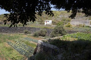 Ländliche Landschaft mit Steinmauer, einem kleinen weißen Gebäude und einem Bahnweg.