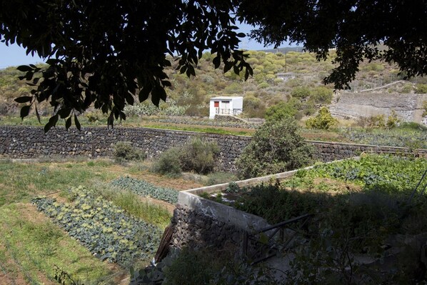 Paisaje rural con un muro de piedra, un pequeño edificio blanco y una vía de tren.