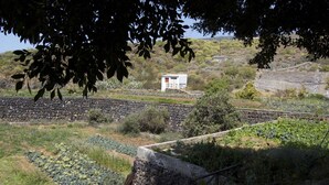 A rural landscape with a stone wall, a small white building, and a railway track. - Experience Organic Farm Stay at Restored Estate Finca Las Dulces in Be (Guía de Isora)