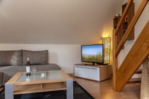 Fernseher, Stereoanlage