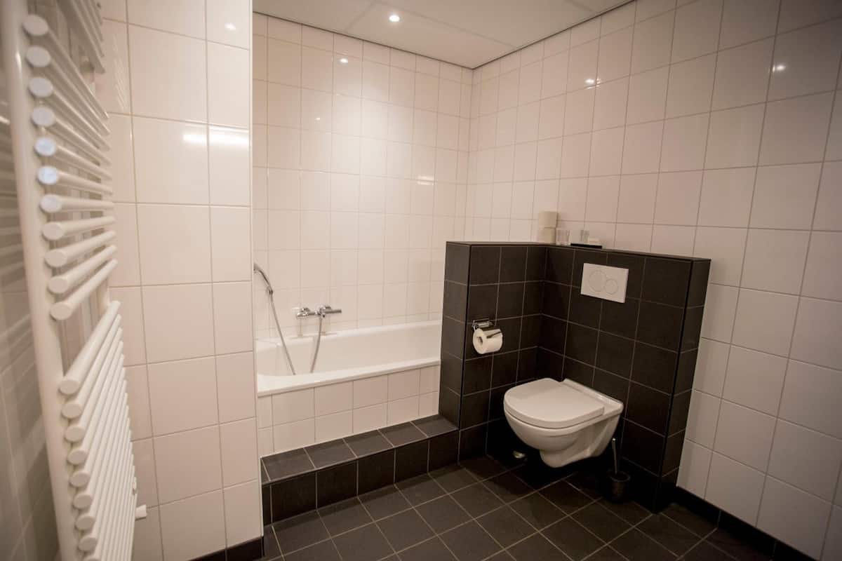 shower, free toiletries, hair dryer, towels