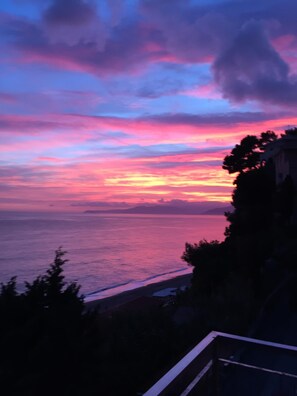 Beach/ocean view