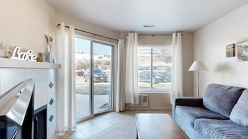 Télévision, cheminée, lecteur de DVD, livres