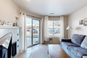 TV, fireplace, DVD player, books