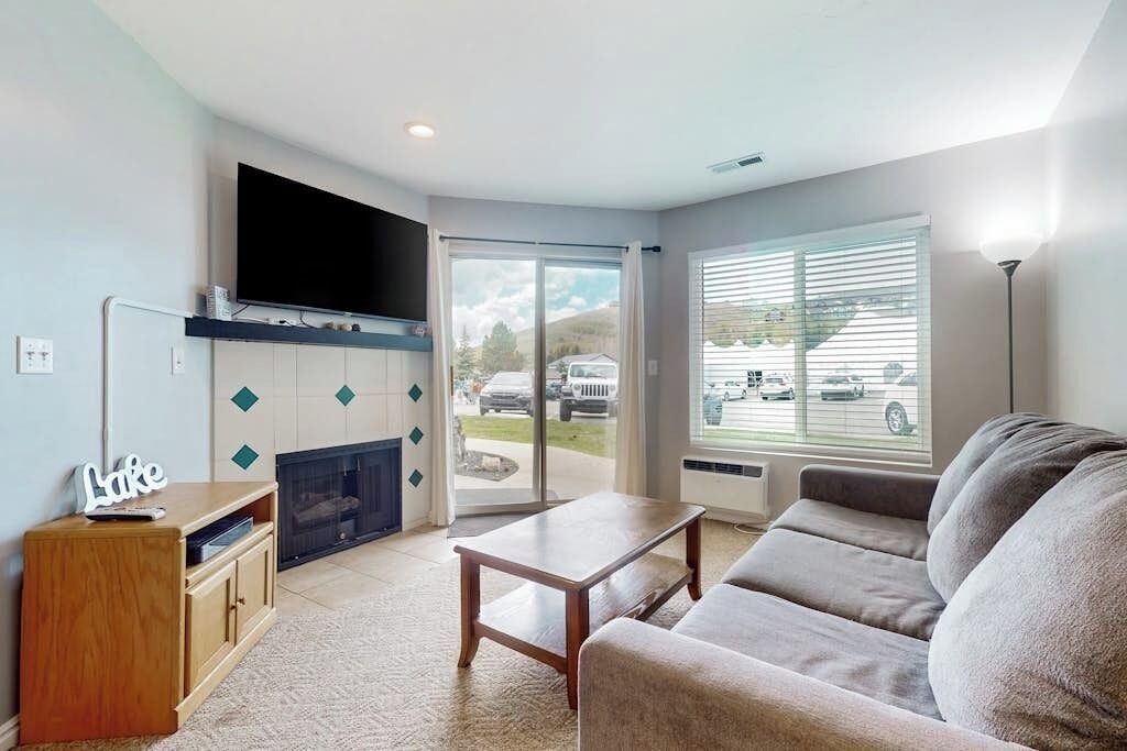 TV, fireplace, DVD player, books