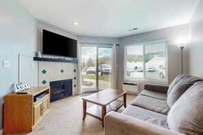TV, fireplace, DVD player, books