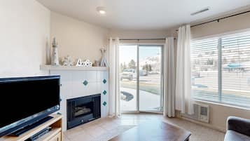 Télévision, cheminée, lecteur de DVD, livres