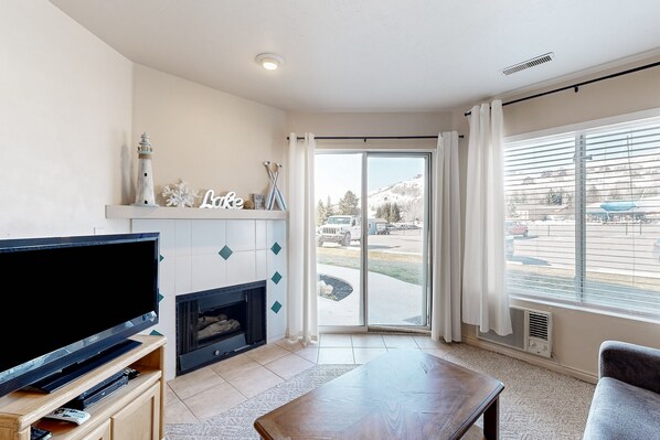 TV, fireplace, DVD player, books