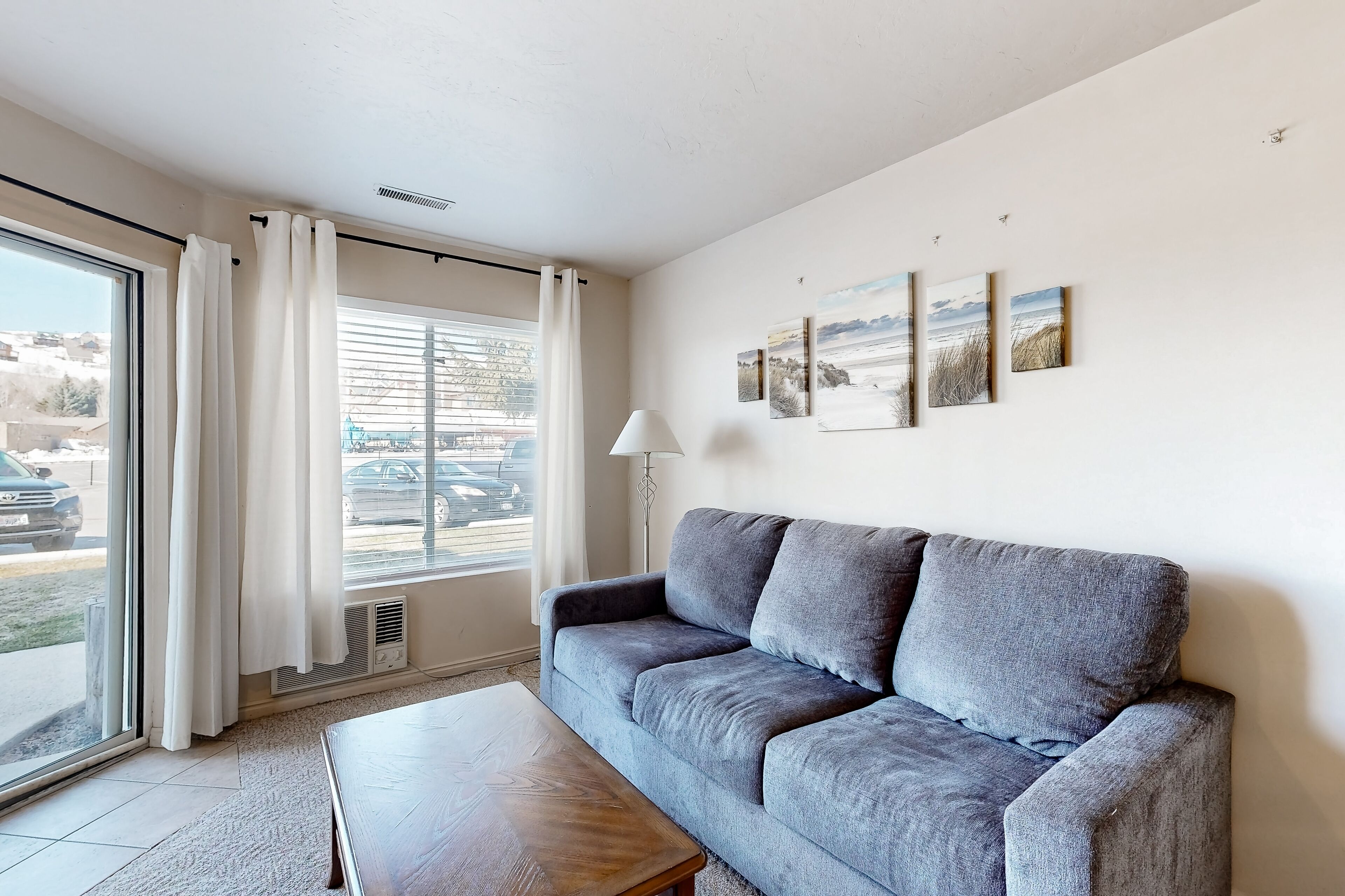 TV, fireplace, DVD player, books