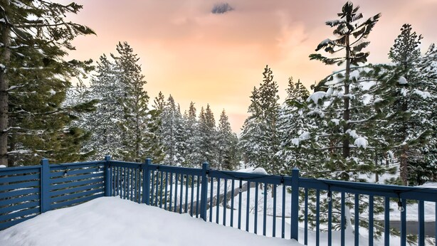 Paisaje cubierto de nieve con una cerca azul y árboles cargados de nieve.