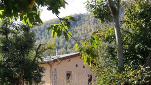 A rustic building with a stone facade, surrounded by trees and a gravel path. - Podere Groppini (Fivizzano)