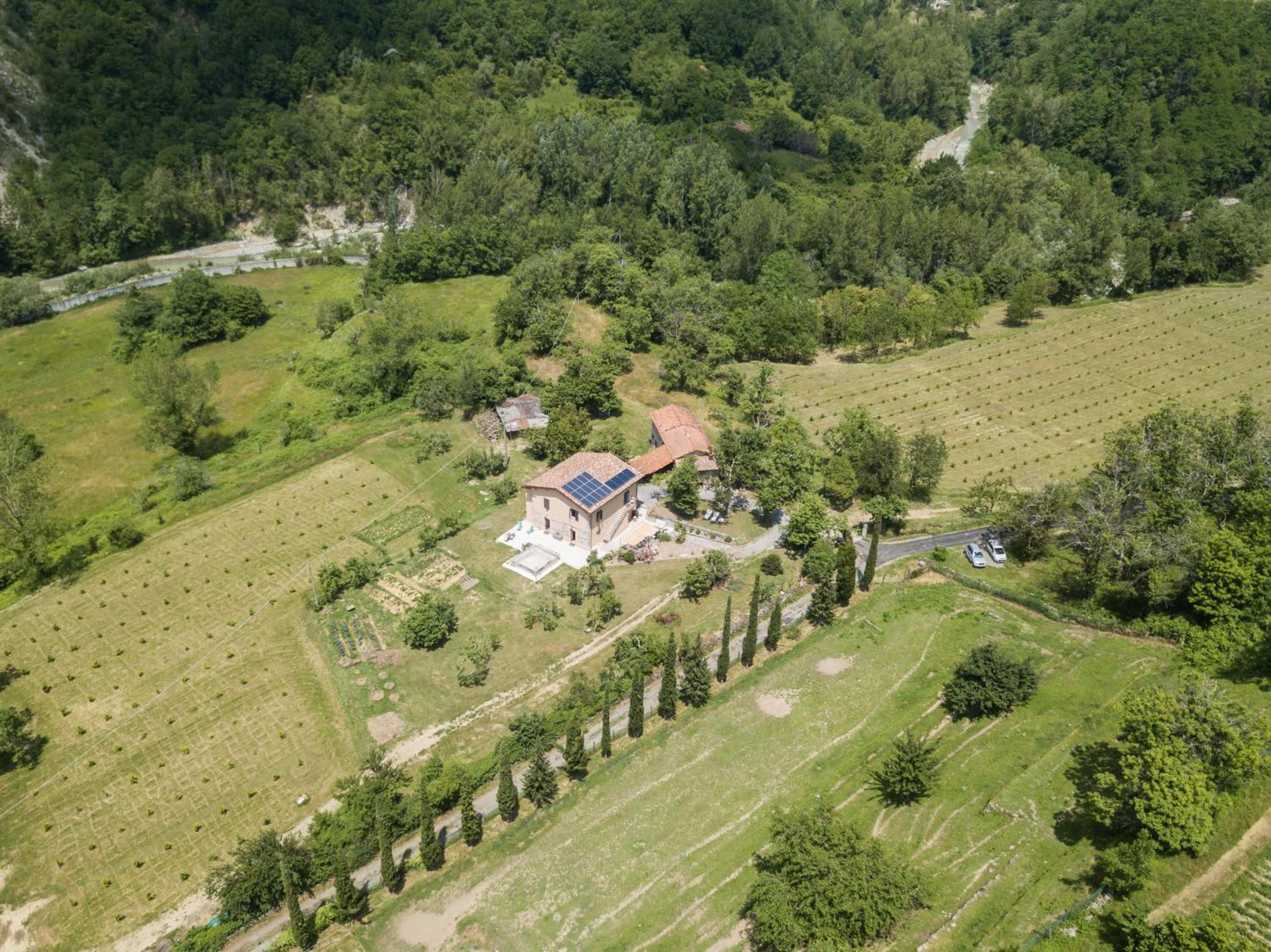 A rural property with a house surrounded by fields and trees.