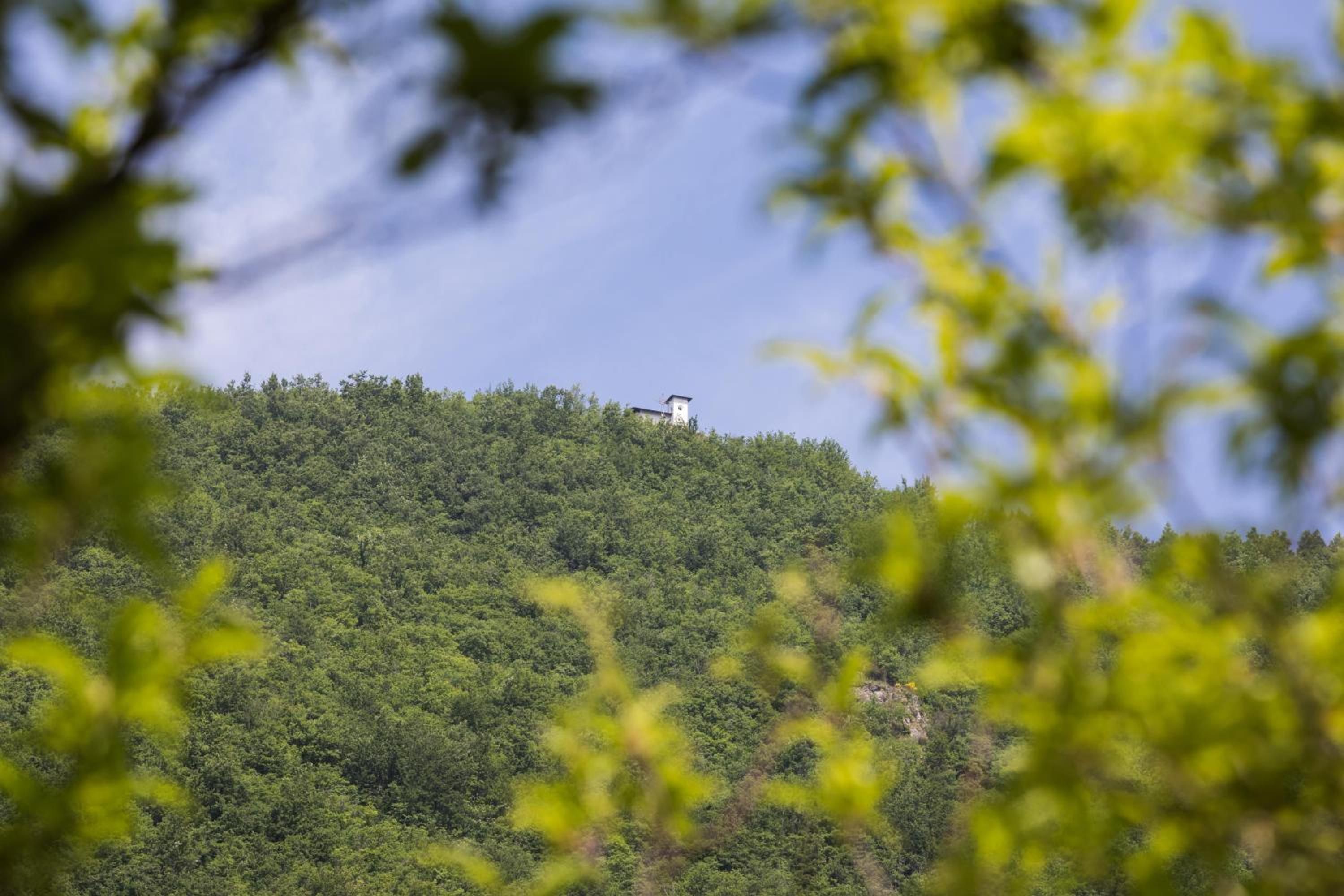 Un bâtiment situé sur une colline, entouré d’un feuillage vert et dense.