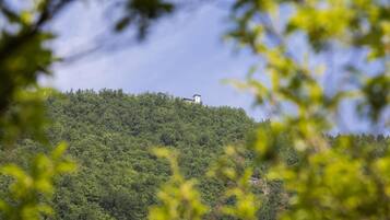 Un bâtiment situé sur une colline, entouré d’un feuillage vert et dense.