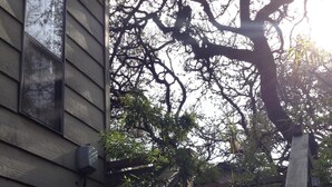 Una escalera de madera que sube hacia una casa, con barandilla de metal.