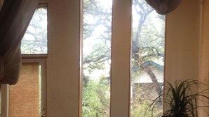 Una habitación con cama, ventana y una planta.