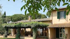 Une maison dotée d’un patio couvert, d’une cheminée et d’un jardin agrémenté de plantes en pot.