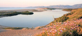 Ideal apartment for families and groups - just a few steps from the sea