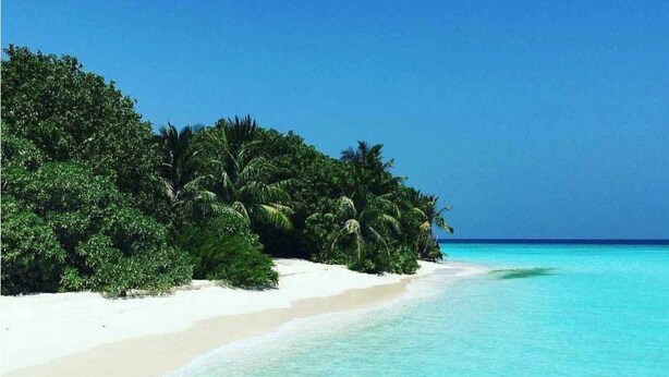 A beach with white sand and clear turquoise water, surrounded by dense green foliage and palm trees. - La Due Thulusdhoo (Thulusdhoo Island)