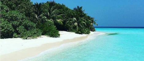 Vista a la playa o al mar