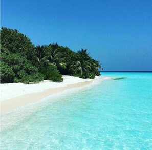A beach with white sand and clear turquoise water, surrounded by dense green foliage and palm trees. - La Due Thulusdhoo (Thulusdhoo Island)