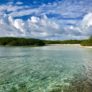 Beach/ocean view - La Due Thulusdhoo (Thulusdhoo Island)