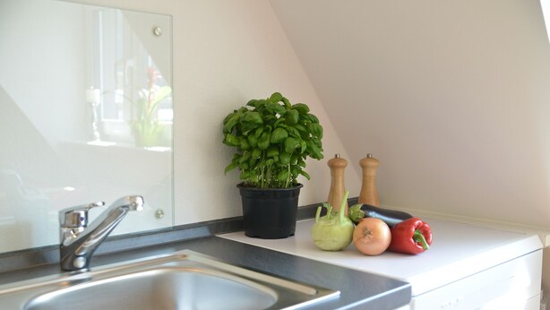 A kitchen with a stainless steel sink, a potted basil plant, and a white countertop. - Sonnenhaus Ferienwohnungen (Traben-Trarbach)