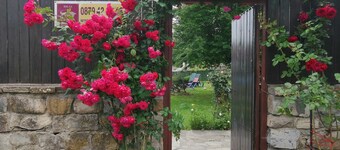 Three bedroom house with garden only 10 km from Veliko Tarnovo