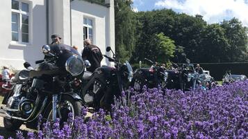 Udendørs bryllupsområde